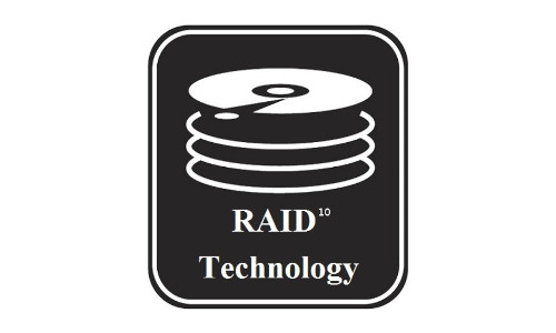Imagen del Logotipo de Raid